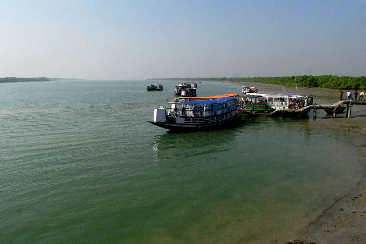 Gosaba : Gateway to the Mangroves