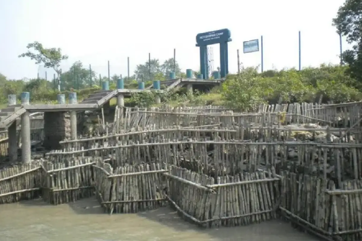 Netidhopani : Where History Meets Wilderness