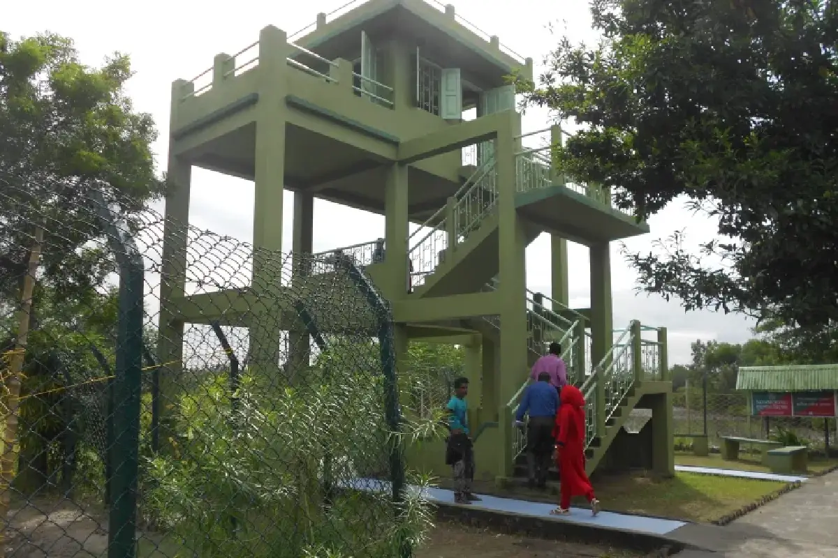 Sajnekhali : Wildlife and Education Combined