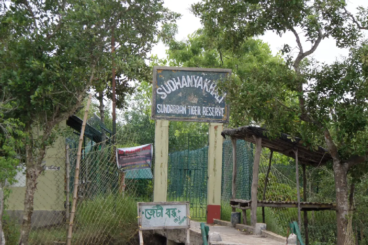 Standard Tour Sundarban 2 Nights 3 Days